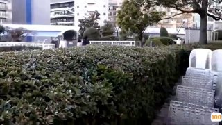 XK8073 臥槽了個DJ3-前傳-許諾